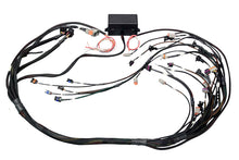 Load image into Gallery viewer, Haltech GM GEN IV (LS2/LS3) DBW Ready Elite 2500 Terminated Harness w/EV1 Injector Connectors