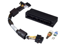 Load image into Gallery viewer, Haltech Elite 750 Plug-n-Play Adaptor Harness