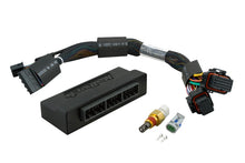 Load image into Gallery viewer, Haltech Elite 2000/2500 Plug-n-Play Adaptor Harness